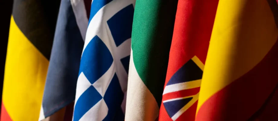 theory-test-ie-voiceover-languages